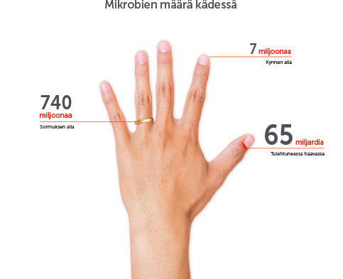 Käsissämme on miljardeja mikrobeja, ja tiettyjä käsien osia on vaikea puhdistaa.