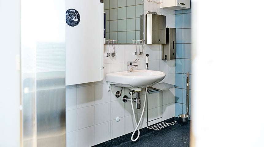 Oras Safira 1096F washbasin faucet and disinfection proof Bidetta hand shower.